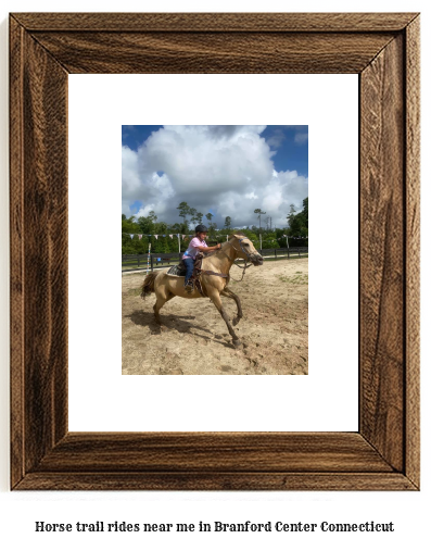 horse trail rides near me in Branford Center, Connecticut